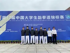 跆拳道淘汰赛掀起高潮，东海白虎队逆转粤西天狼队，高压逼抢奏功——传控打穿防线